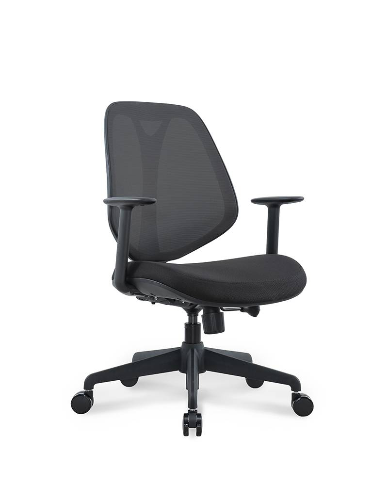 High definition Contemporary Dining Chairs -
 MOIRA – GOODTONE