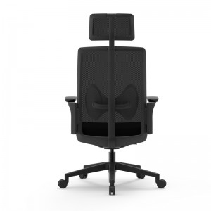 Ergonomic Mesh Back Chair