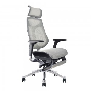 Imove Mesh Ergonomic Office Chair With Footrest