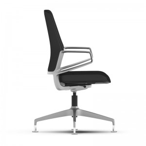Executive Low-Back Fixed Arm Base Task Chair