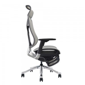 Imove Mesh Ergonomic Office Chair With Footrest