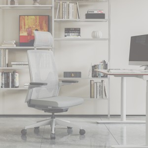 Adjustable Headrest Lumbar Support Office Chairs Luxury Ergonomic Office Chairs