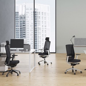 5 Years Warranty Ergonomic Office Chair 3D Adjustable Mesh Chair