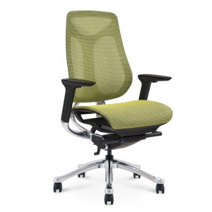 Factory Selling China Ea119 Manufacturer Popular Design Home Furniture Abjustable School Office Boss Study Massage Green PU Leather Table Chair