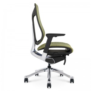 Goodtone Ergonomic Gaming Chairs