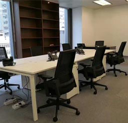 Classical Furniture Leisure Office Lounge Occasional Chair