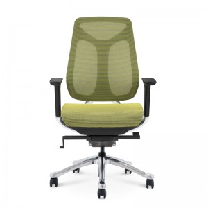 Goodtone Ergonomic Gaming Chairs