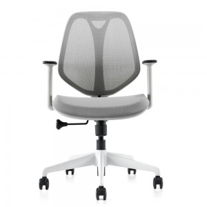 Budget Computer Desk BIFMA Office Chair