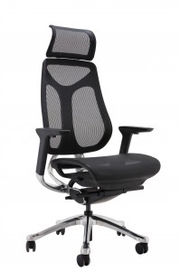 Mesh Ergonomic Computer Chair