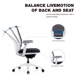 Factory wholesale China Ergonomic Computer Manager Director Executive Mesh High-Back 3D Armrest Swivel Office Chair