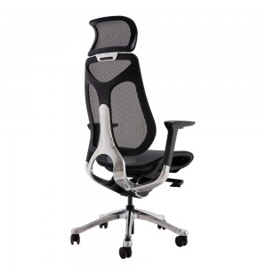 Goodtone Ergonomic office Chair with Adjustable Height and Breathable Mesh