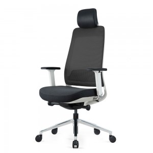 Ergonomic Executive Chair with 4D Armrests