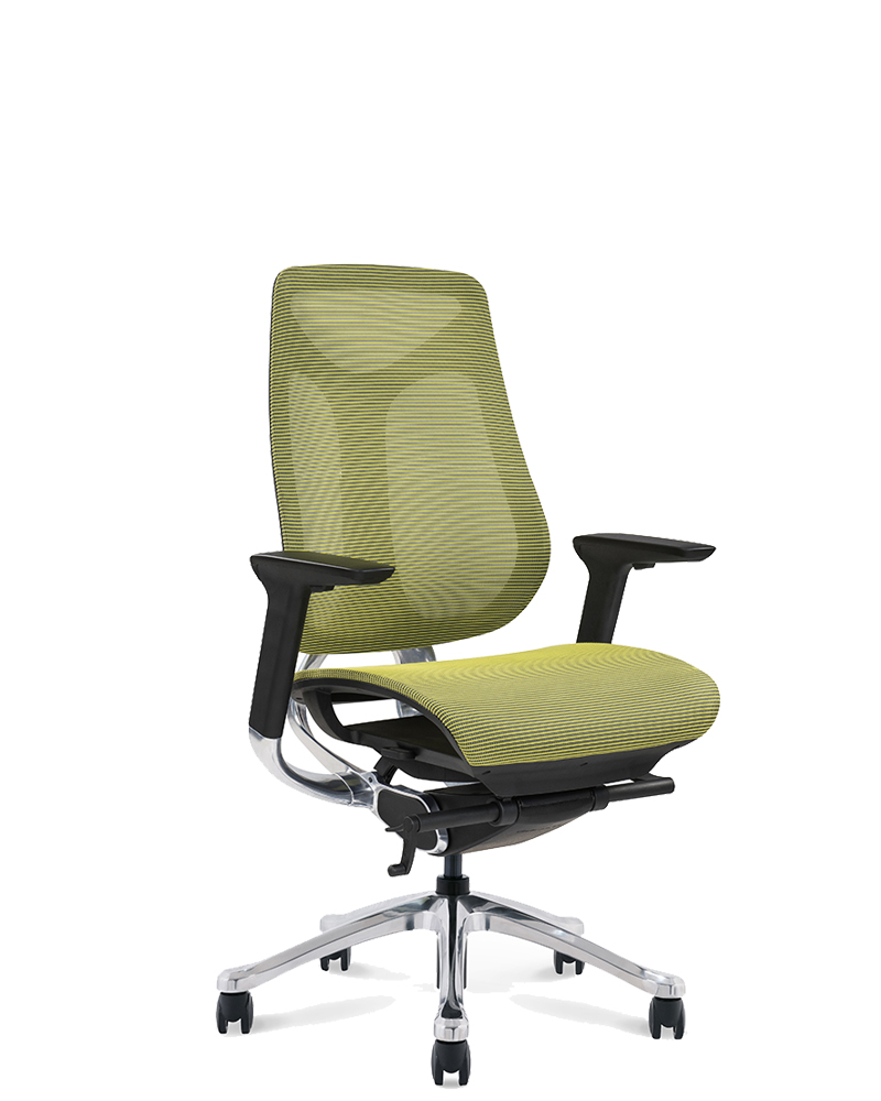 China wholesale Rolling Chair -
 Ergonomic Chairs For Working At Home  – GOODTONE