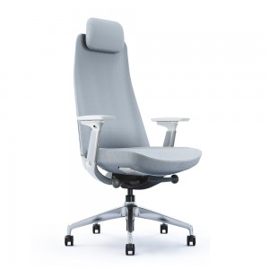 Light Blue Luxury Home Desk Computer Ergonomic Office Chair