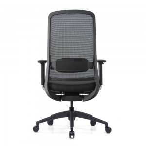 Goodtone Ergonomic Middle Back Computer Chair