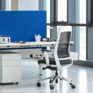 Comfortable Back Support Mesh Ergonomic Office Chair with 4D Armrest