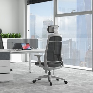 Task Ergonomic High Back Office Chair