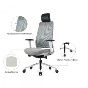 Goodtone Factory Adjustable Lumber Support Mesh Ergonomic Swivel Office Chair